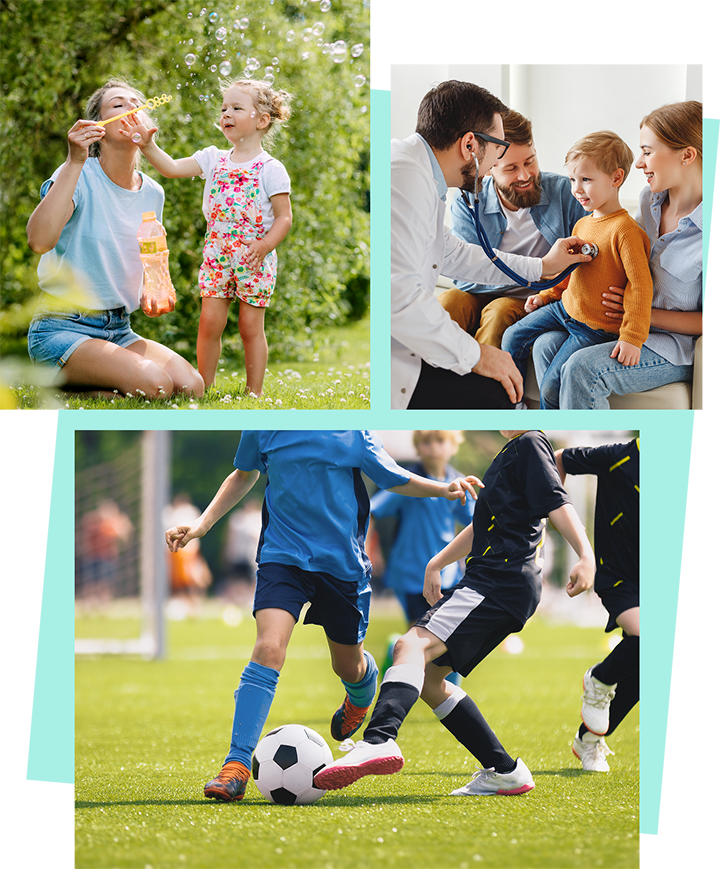 Collage of images showing the different features of the proposals